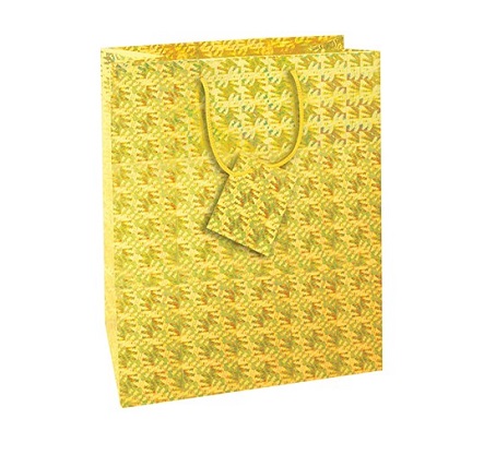 Holographic Medium Bag