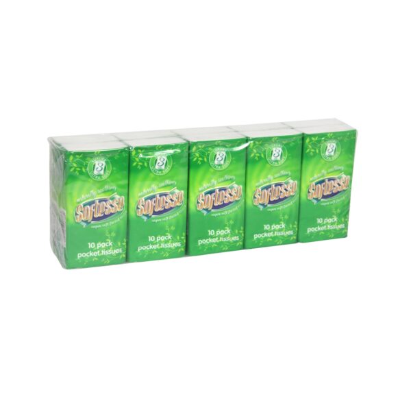 Pocket Size 10 Pack 3-Ply Tissue Half Box