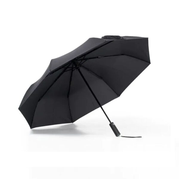 Winter Umbrella